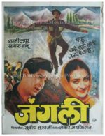 Junglee 1961 Shammi Kapoor Saira Banu hand painted old vintage bollywood movie posters india